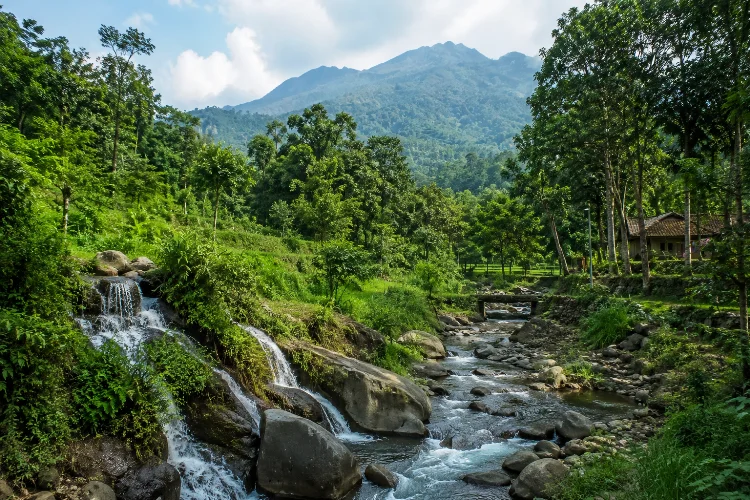 Cerita Lama Hutan, Sungai, dan Perbukitan Gondang