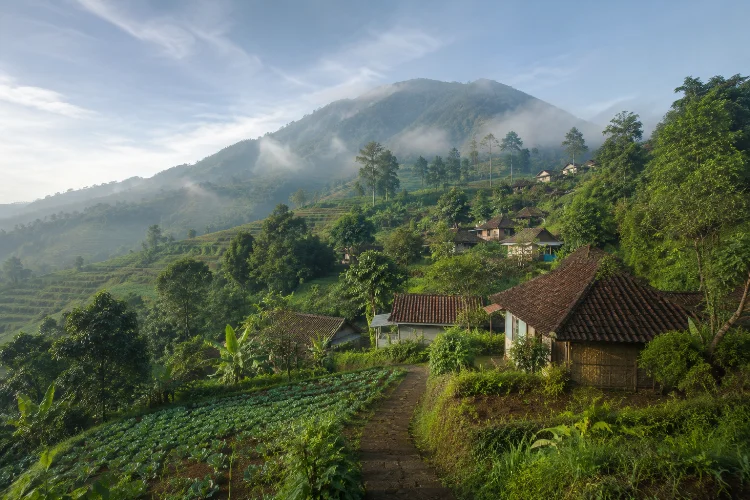 Sejarah Desa Gondang Kendal, Desa Wisata Alam di Lereng Ungaran
